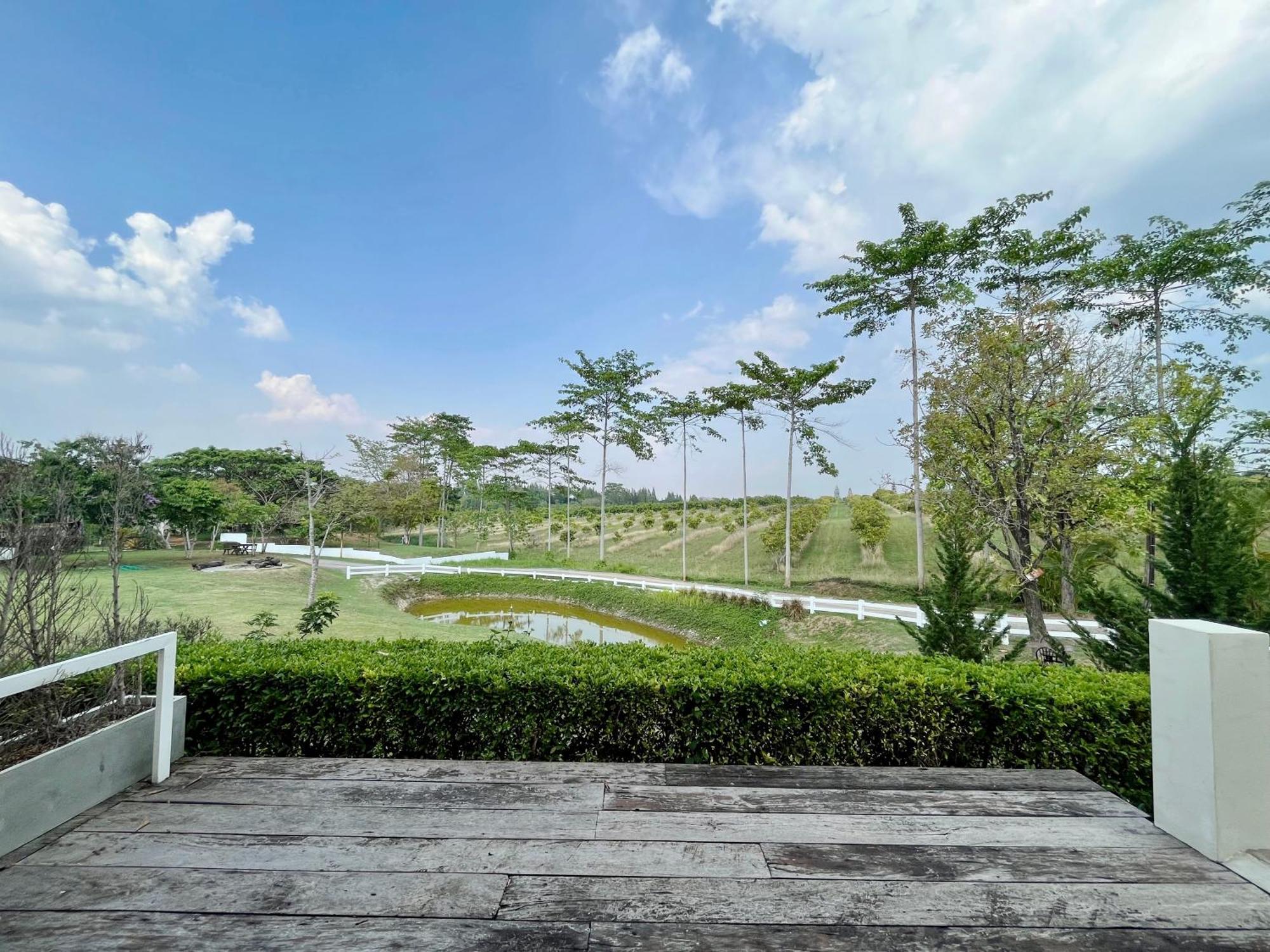Tubtao Sleepy Hill Hotell Pong Talong Rum bild