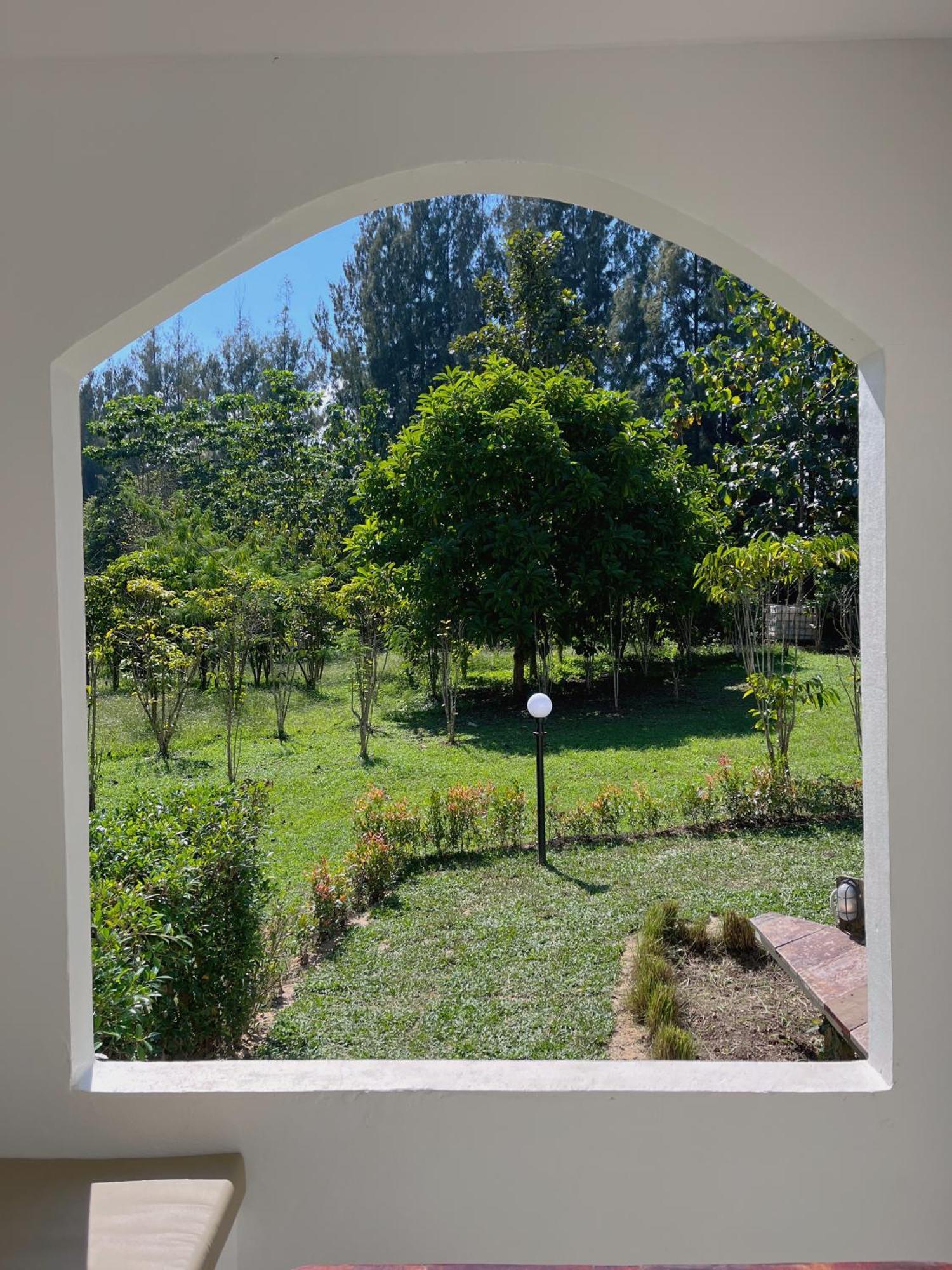 Tubtao Sleepy Hill Hotell Pong Talong Rum bild