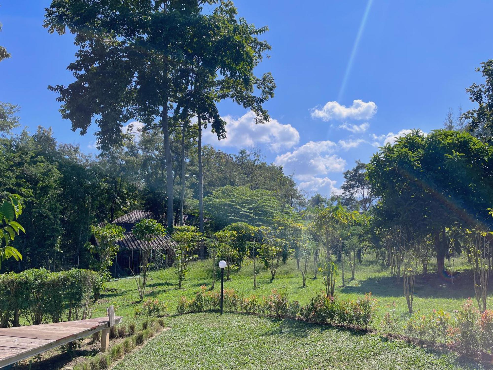Tubtao Sleepy Hill Hotell Pong Talong Rum bild